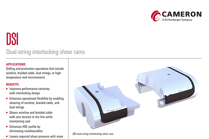 DSI Shear Rams